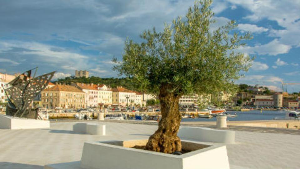 Apartman Marina Senj  Exterior photo